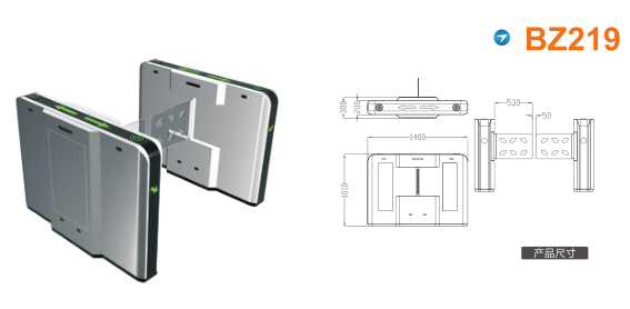 张掖摆闸BZ219