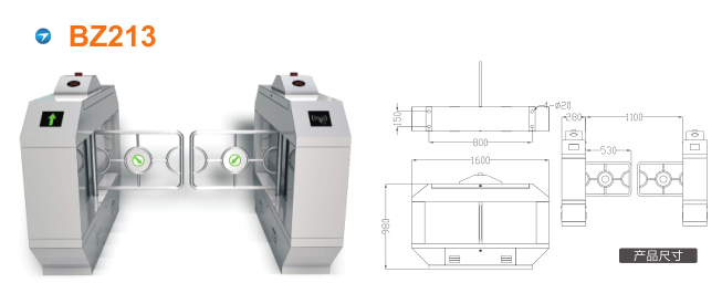 张掖摆闸BZ213